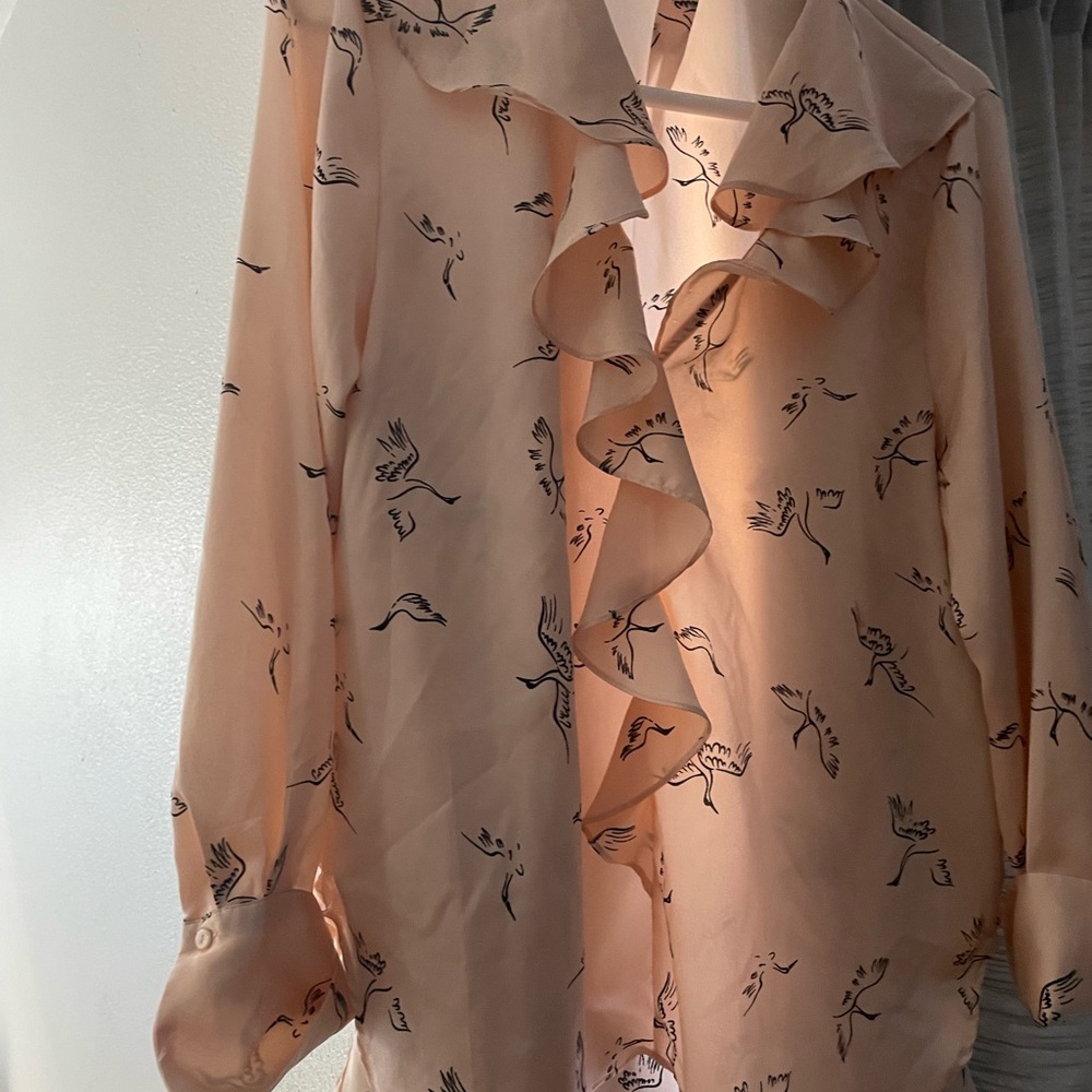 Zara Peach-Pink Ruffle Blouse with Bird Print